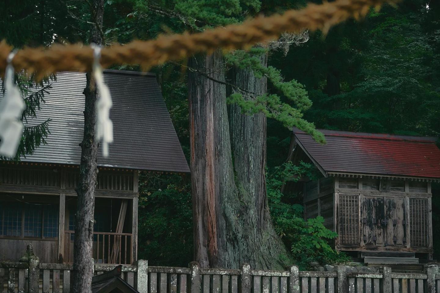 Lodge Yamajiu Hakuba Eksteriør bilde